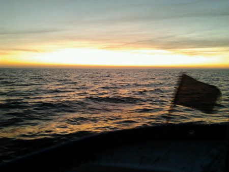 Fin kväll för lite fiske