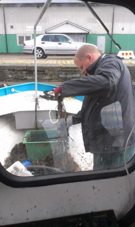 Blev lite o rensa efter en mindre lyckad tur