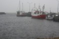 /album/hamnrunda-sodra-oland/img-4656-jpg1/