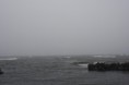 /album/hamnrunda-sodra-oland/img-4663-jpg/