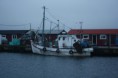 /album/hamnrunda-sodra-oland/img-4687-jpg/